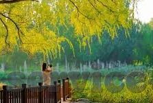 足球即时比分旧版-重温旧时光，足球即时比分旧版——那些年的绿茵记忆与数据情怀